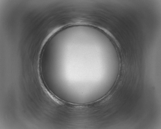 X0000080781333200612151022