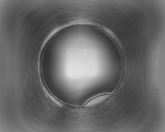 X0000080781334200612151022
