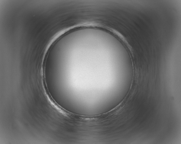 X0000080781335200612151022