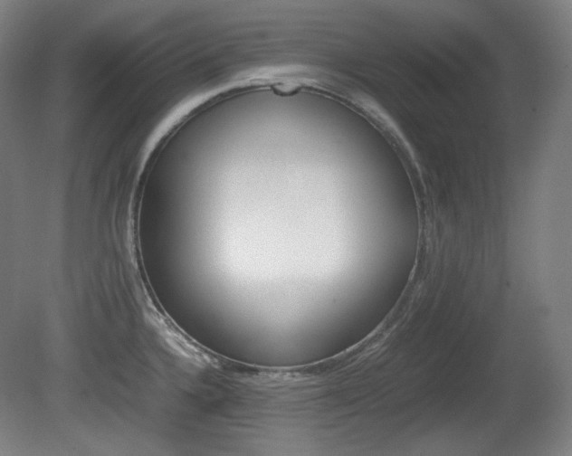 X0000080781336200612151022
