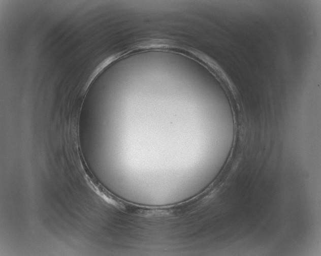 X0000080781337200612151022