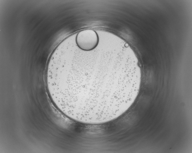 X0000080781338200612151022