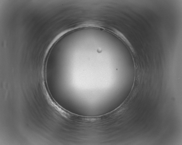 X0000080781339200612151022