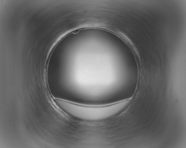 X0000080781340200612151022