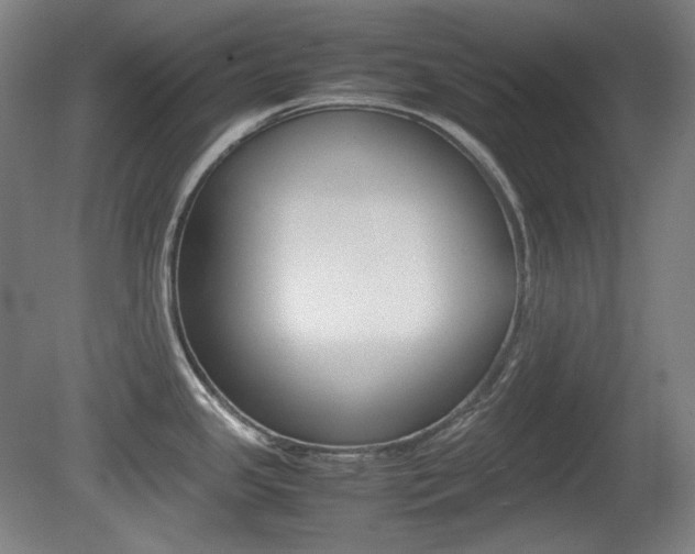 X0000080781341200612151022