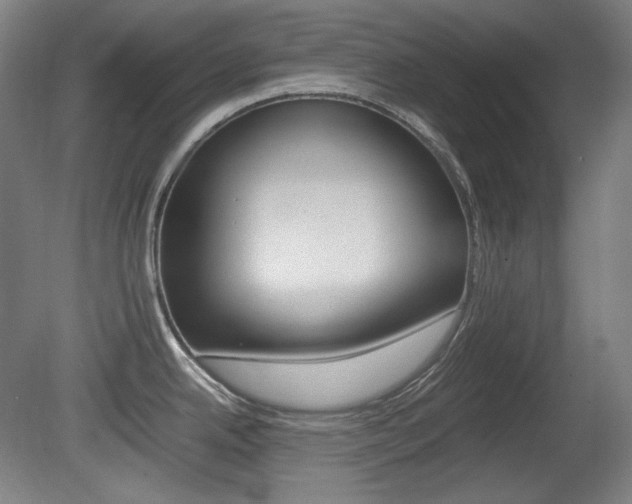 X0000080781342200612151022