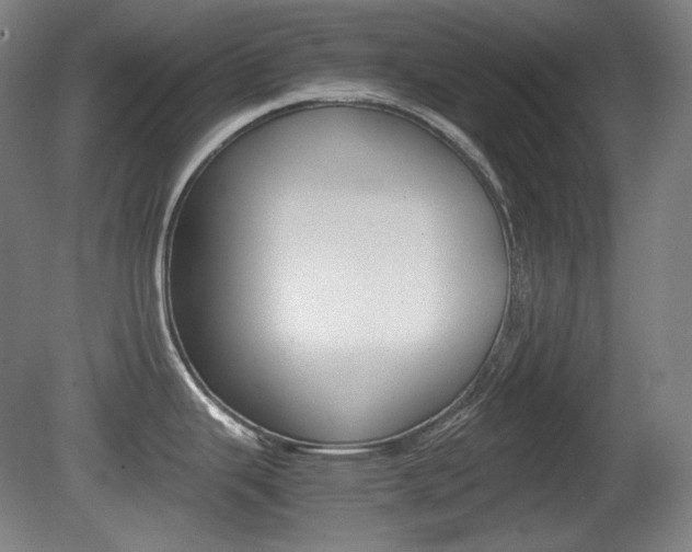 X0000080781343200612151022