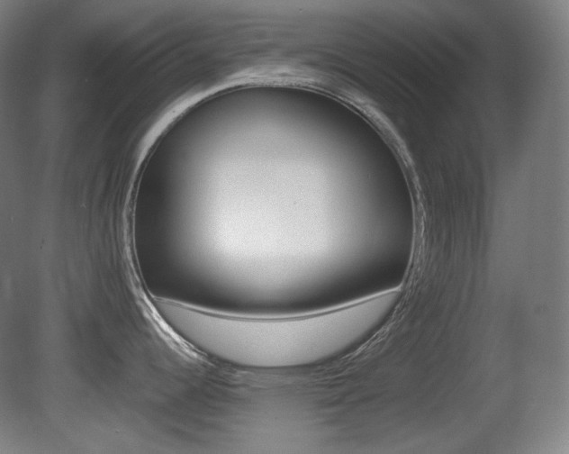 X0000080781344200612151022