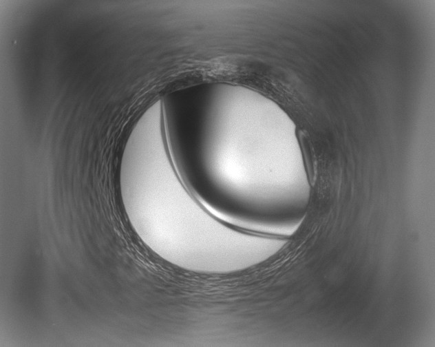 X0000080781345200612151021