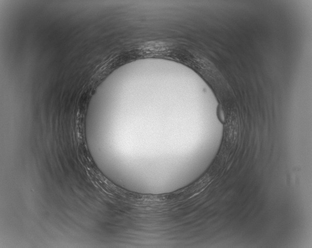X0000080781346200612151021