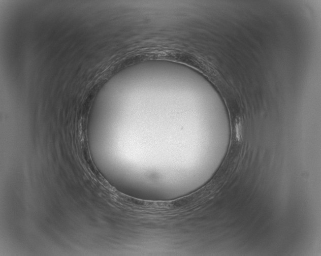 X0000080781347200612151021