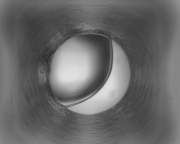 X0000080781348200612151021