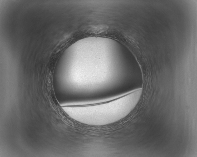 X0000080781349200612151021
