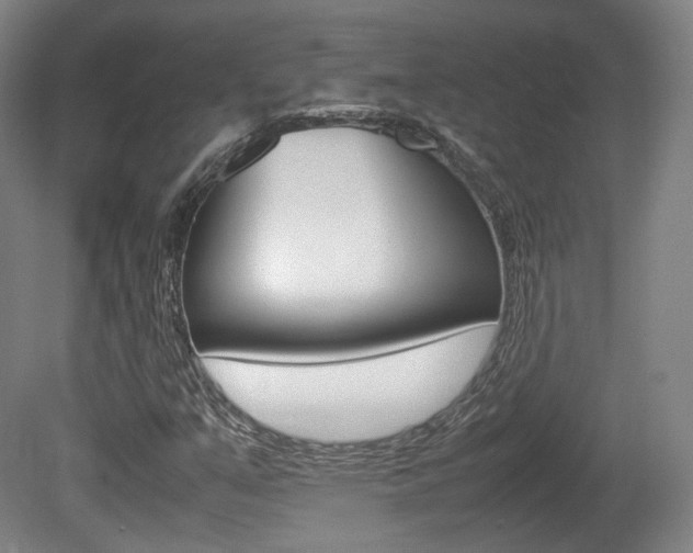 X0000080781351200612151021