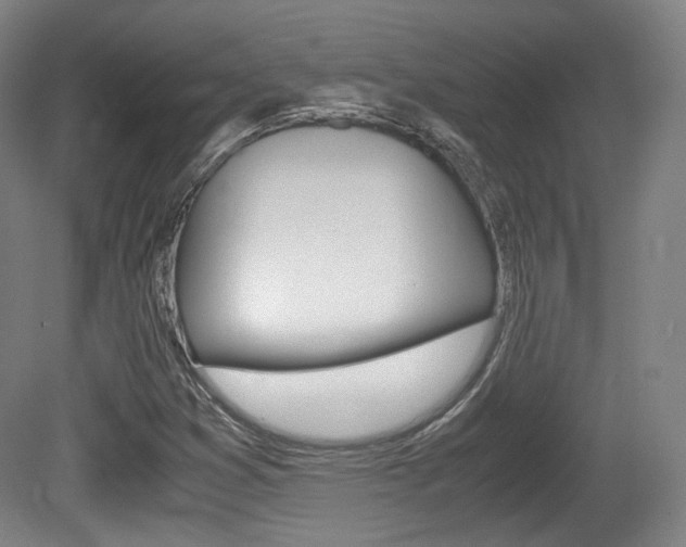 X0000080781353200612151021
