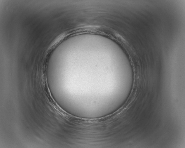 X0000080781354200612151021