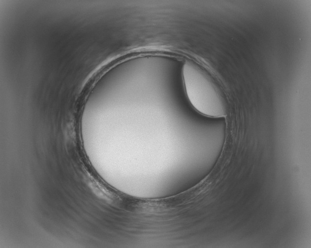 X0000080781356200612151021