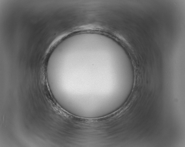 X0000080781358200612151021