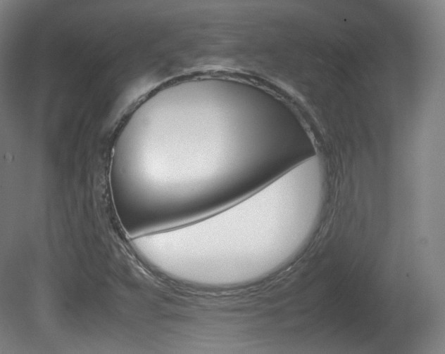X0000080781359200612151021