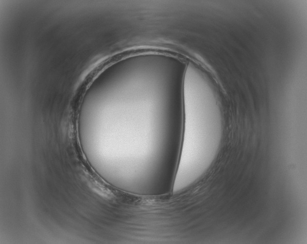 X0000080781360200612151021