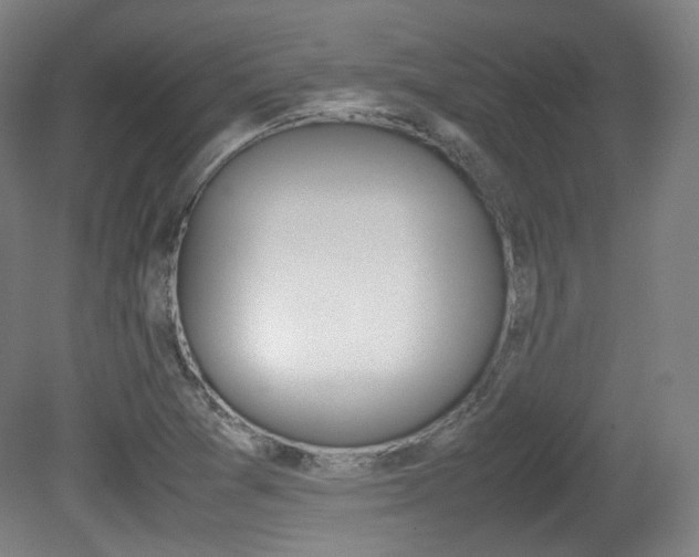 X0000080781361200612151021