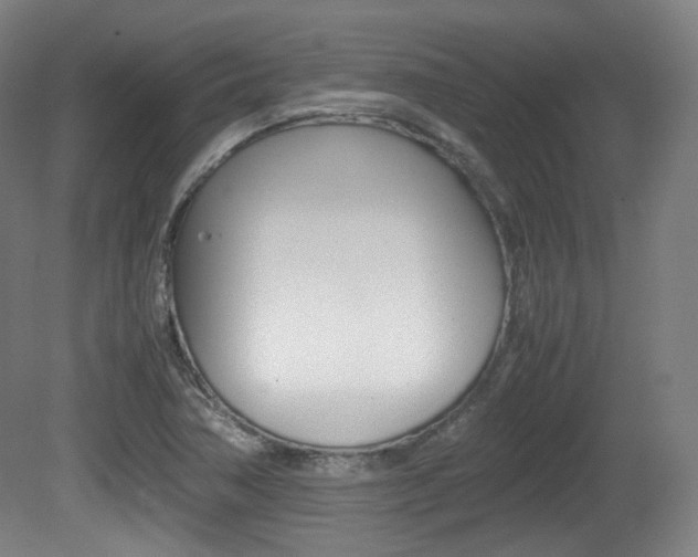 X0000080781362200612151021