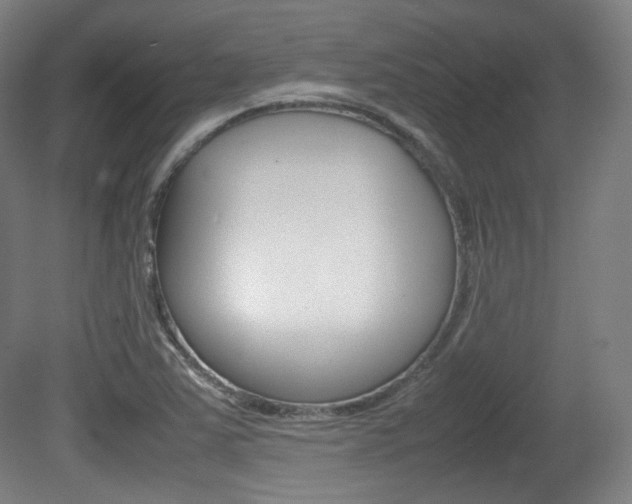 X0000080781363200612151021