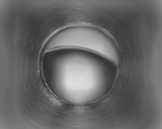 X0000080781364200612151021