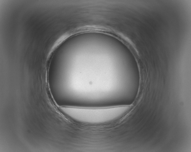 X0000080781365200612151021