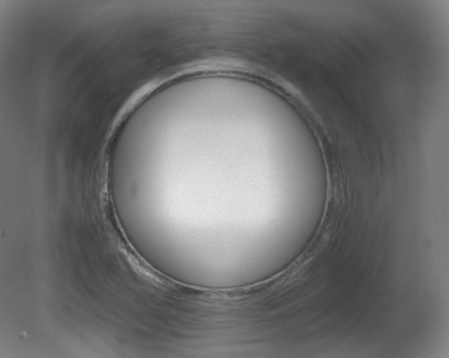 X0000080781366200612151021