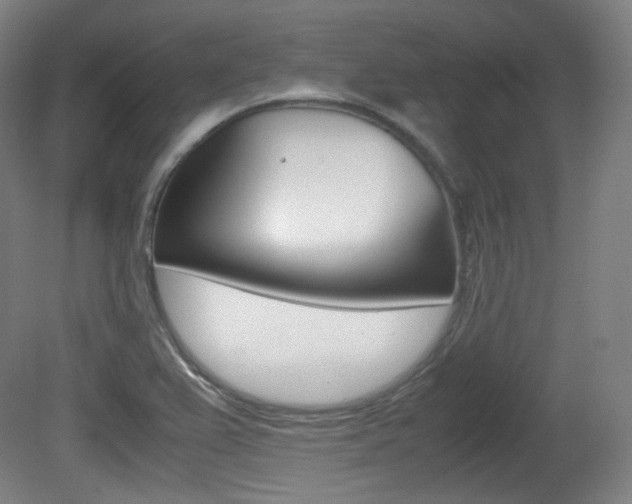 X0000080781367200612151021