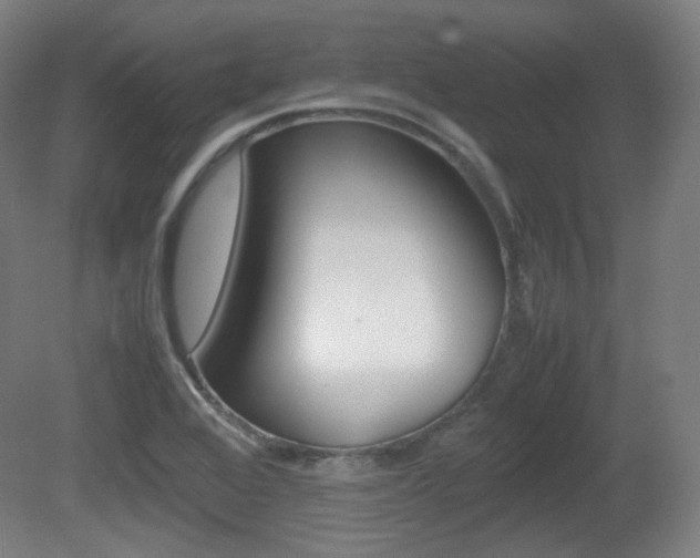 X0000080781368200612151021