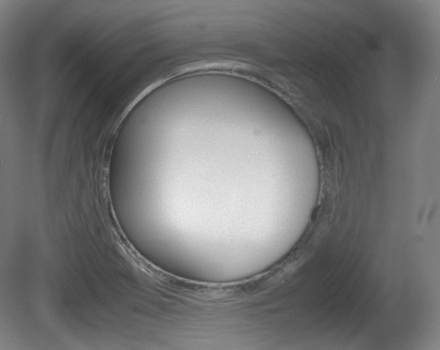 X0000080781369200612151021