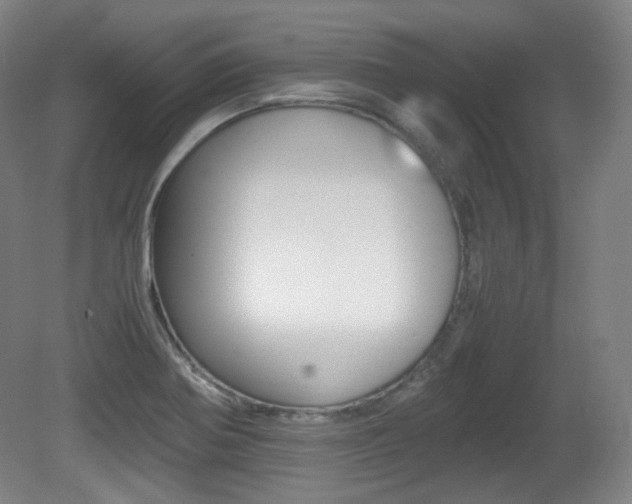 X0000080781370200612151021