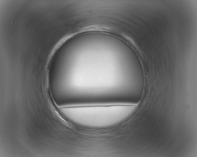 X0000080781371200612151021