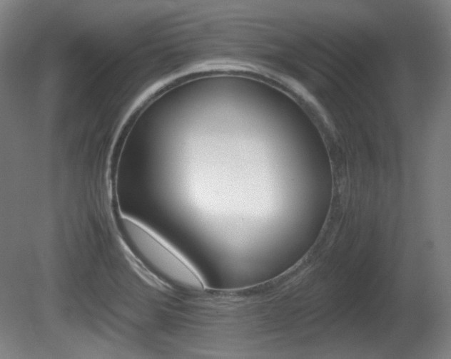 X0000080781372200612151021