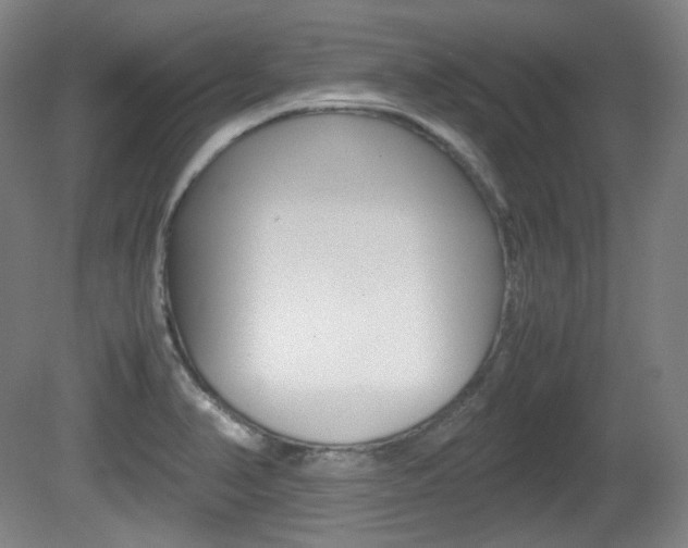 X0000080781374200612151021