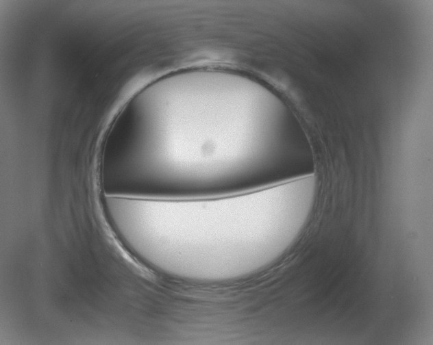 X0000080781375200612151021