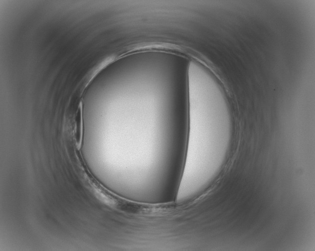 X0000080781377200612151021