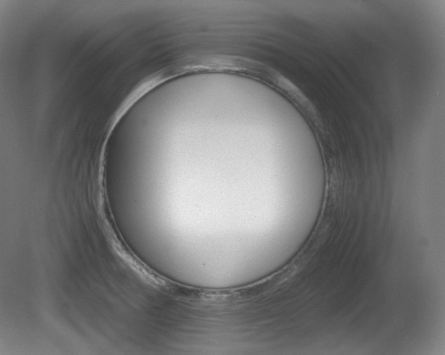 X0000080781378200612151020