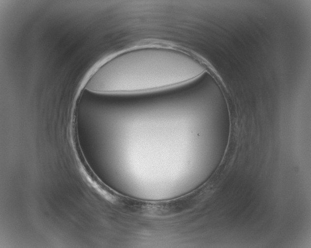 X0000080781379200612151020