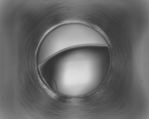 X0000080781380200612151020
