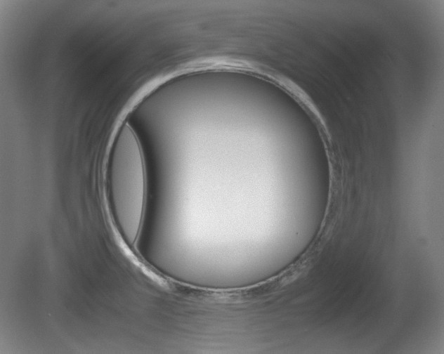 X0000080781381200612151020
