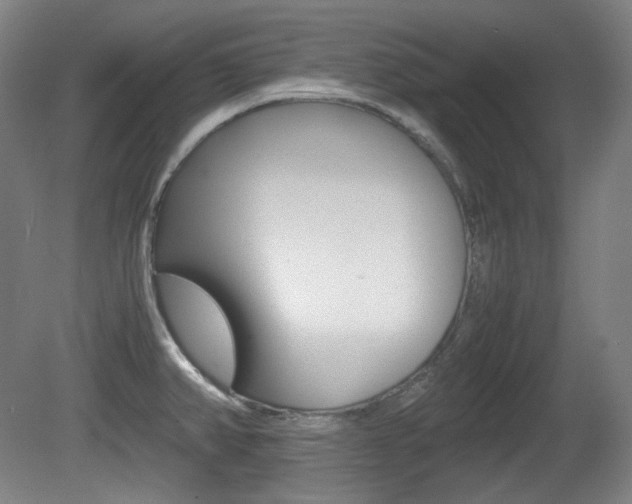 X0000080781382200612151020