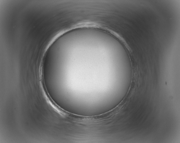 X0000080781383200612151020