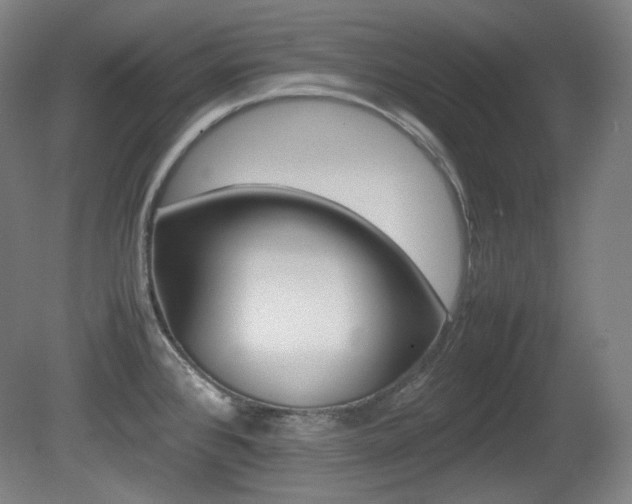 X0000080781384200612151020