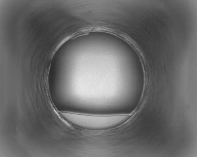 X0000080781385200612151020