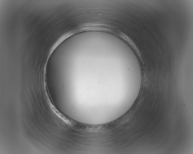 X0000080781386200612151020