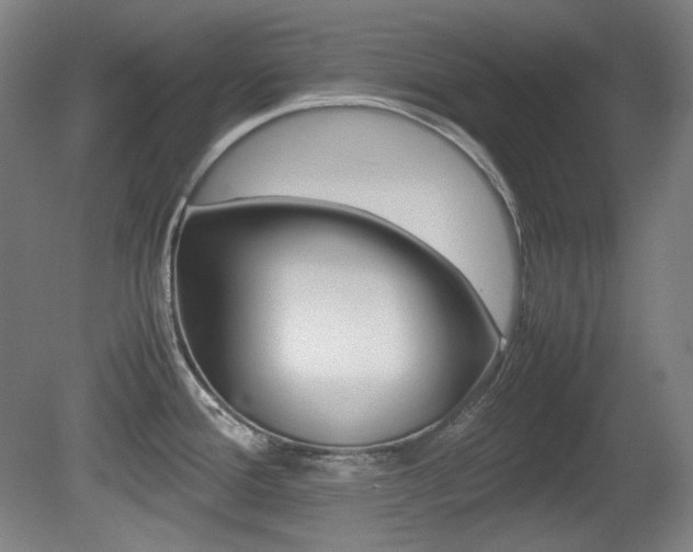 X0000080781388200612151020