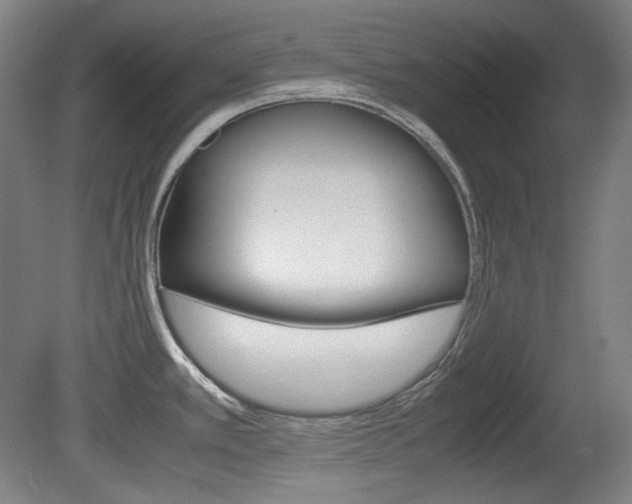 X0000080781389200612151020
